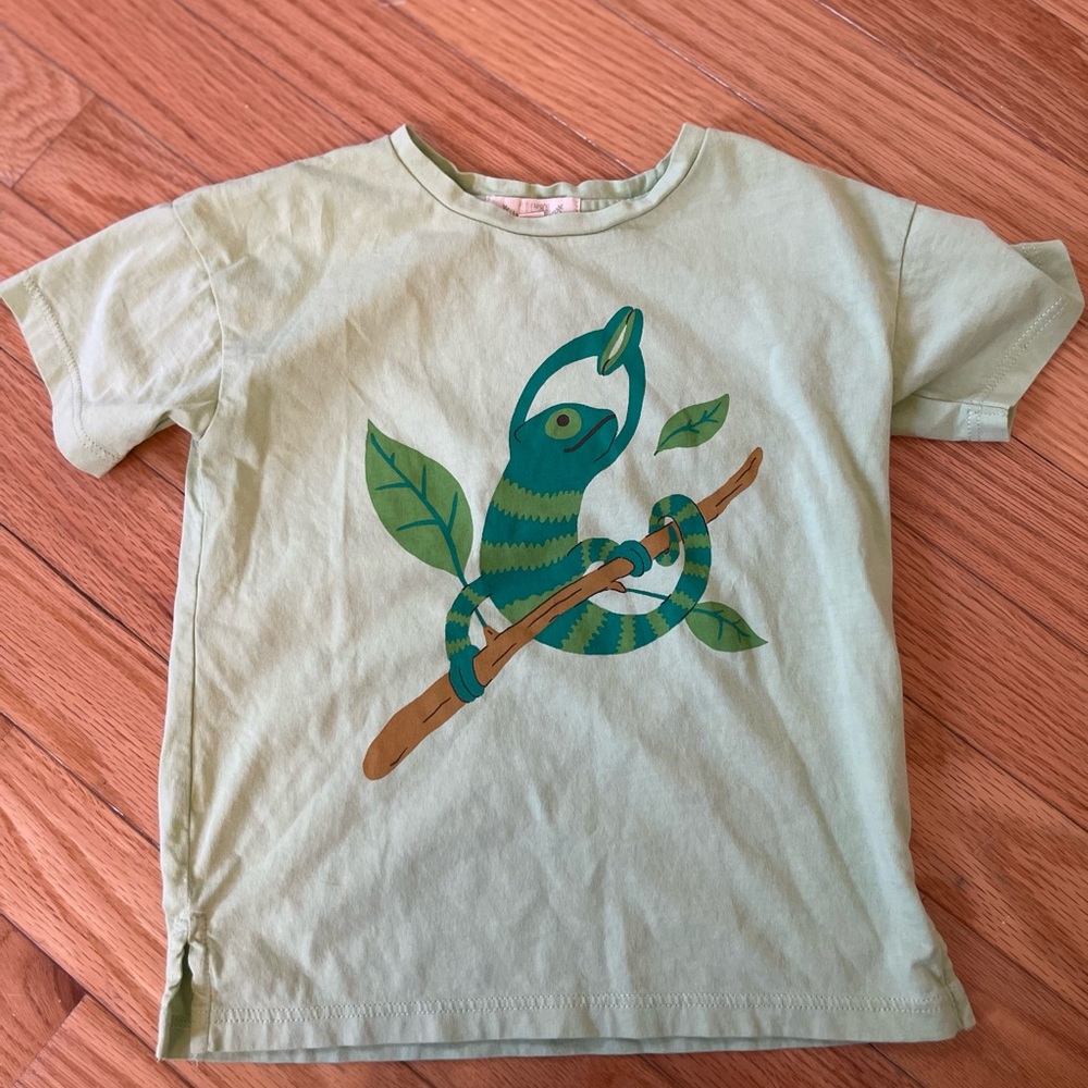 Red Caribou Chameleon Graphic Tee 2–3Y | Green Animal Shirt | Cute Kids Top